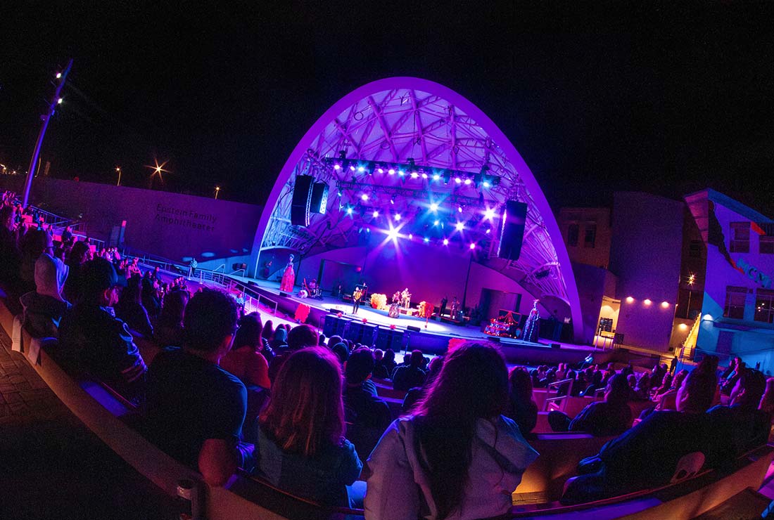 people at a concert